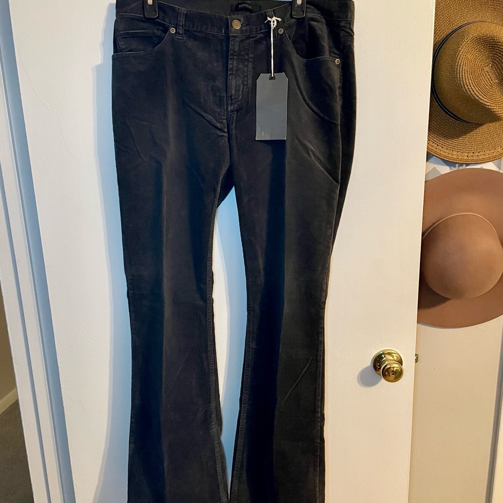 NWT Express dark gray corduroy flare pants 31